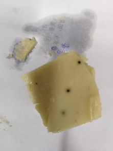 魚糕黑點問題的成因與食品生產技術優化方案